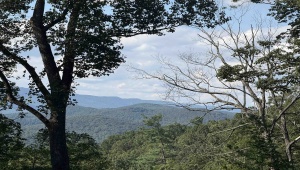 198 acres RUNIONS CREEK RD, BROADWAY, Virginia 22815, ,Farm,14,198 acres RUNIONS CREEK RD,667929 MLS # 667929