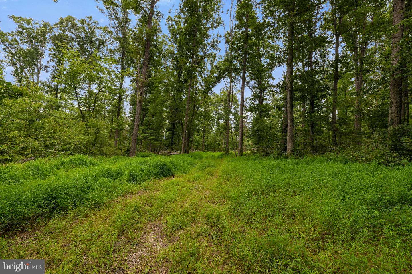 198 ACRES RUNIONS CREEK, BROADWAY, Virginia 22815, ,Farm,For Sale,198 ACRES RUNIONS CREEK,VARO2002504 MLS # VARO2002504