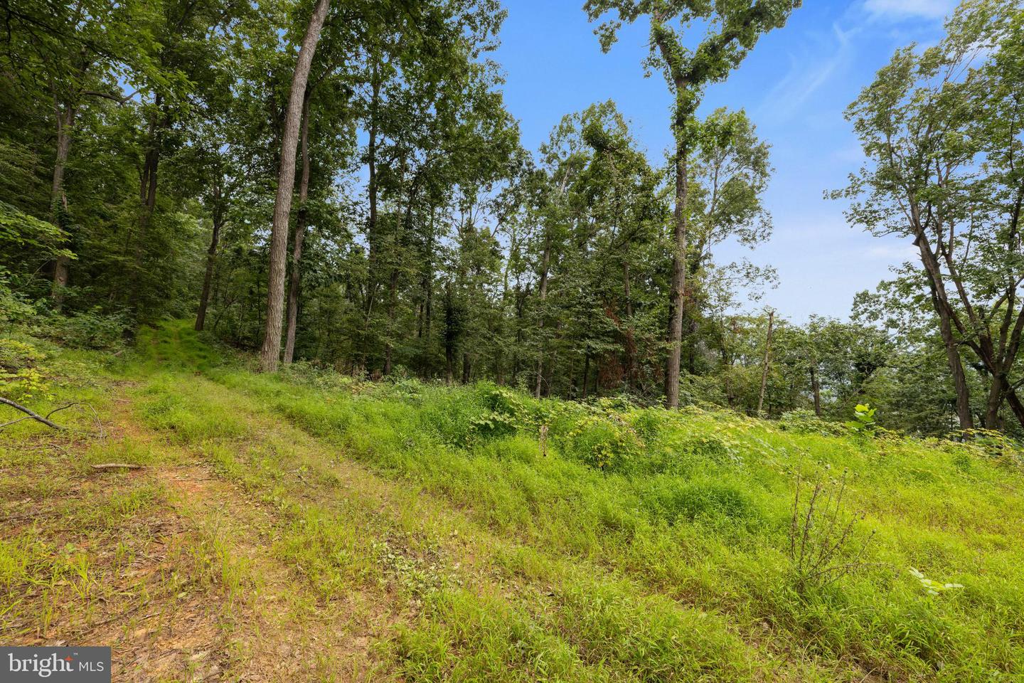 198 ACRES RUNIONS CREEK, BROADWAY, Virginia 22815, ,Farm,For Sale,198 ACRES RUNIONS CREEK,VARO2002504 MLS # VARO2002504