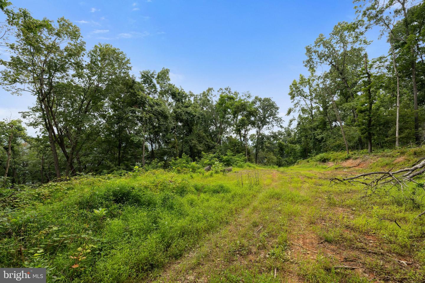 198 ACRES RUNIONS CREEK, BROADWAY, Virginia 22815, ,Farm,For Sale,198 ACRES RUNIONS CREEK,VARO2002504 MLS # VARO2002504