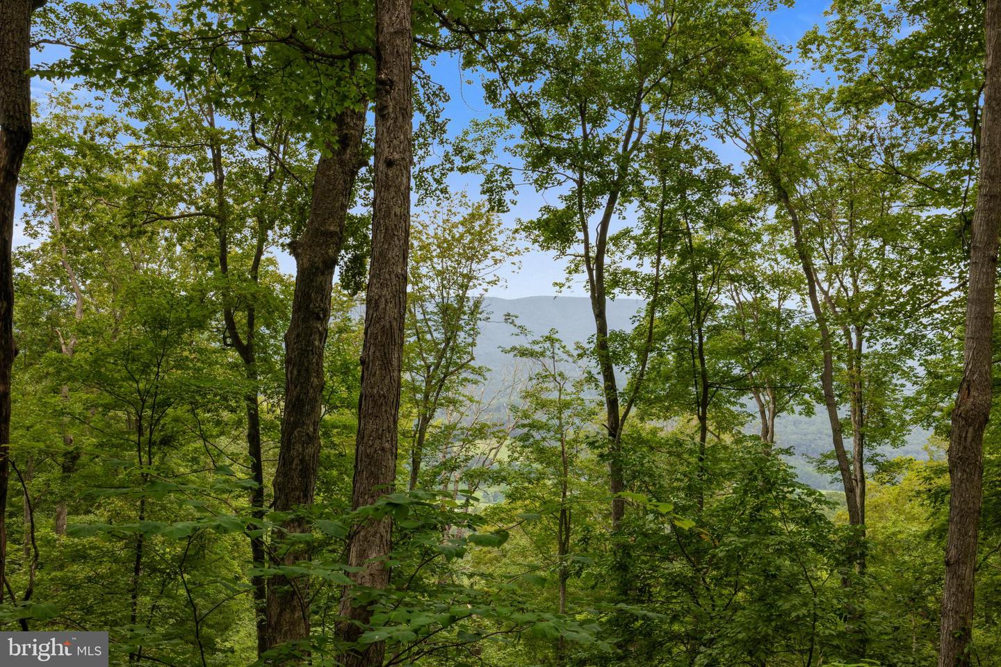 198 ACRES RUNIONS CREEK, BROADWAY, Virginia 22815, ,Farm,For Sale,198 ACRES RUNIONS CREEK,VARO2002504 MLS # VARO2002504