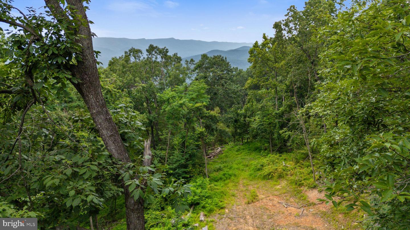 198 ACRES RUNIONS CREEK, BROADWAY, Virginia 22815, ,Farm,For Sale,198 ACRES RUNIONS CREEK,VARO2002504 MLS # VARO2002504