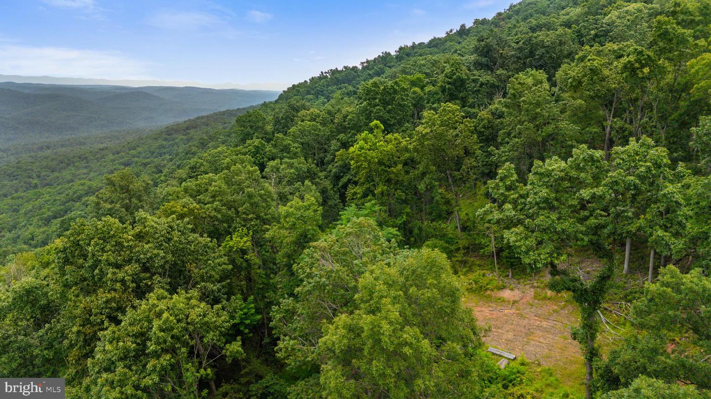 198 ACRES RUNIONS CREEK, BROADWAY, Virginia 22815, ,Farm,For Sale,198 ACRES RUNIONS CREEK,VARO2002504 MLS # VARO2002504