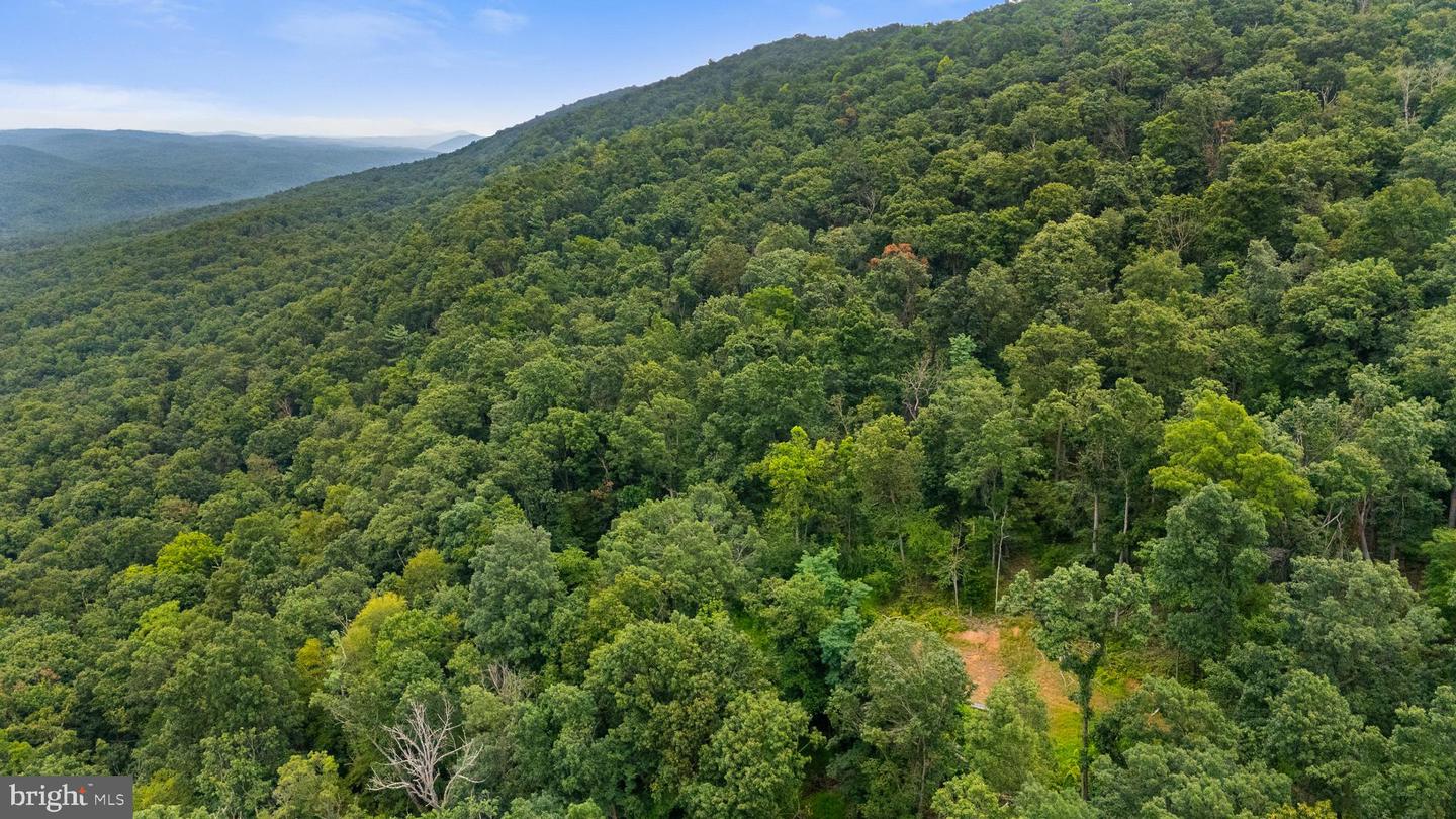 198 ACRES RUNIONS CREEK, BROADWAY, Virginia 22815, ,Farm,For Sale,198 ACRES RUNIONS CREEK,VARO2002504 MLS # VARO2002504