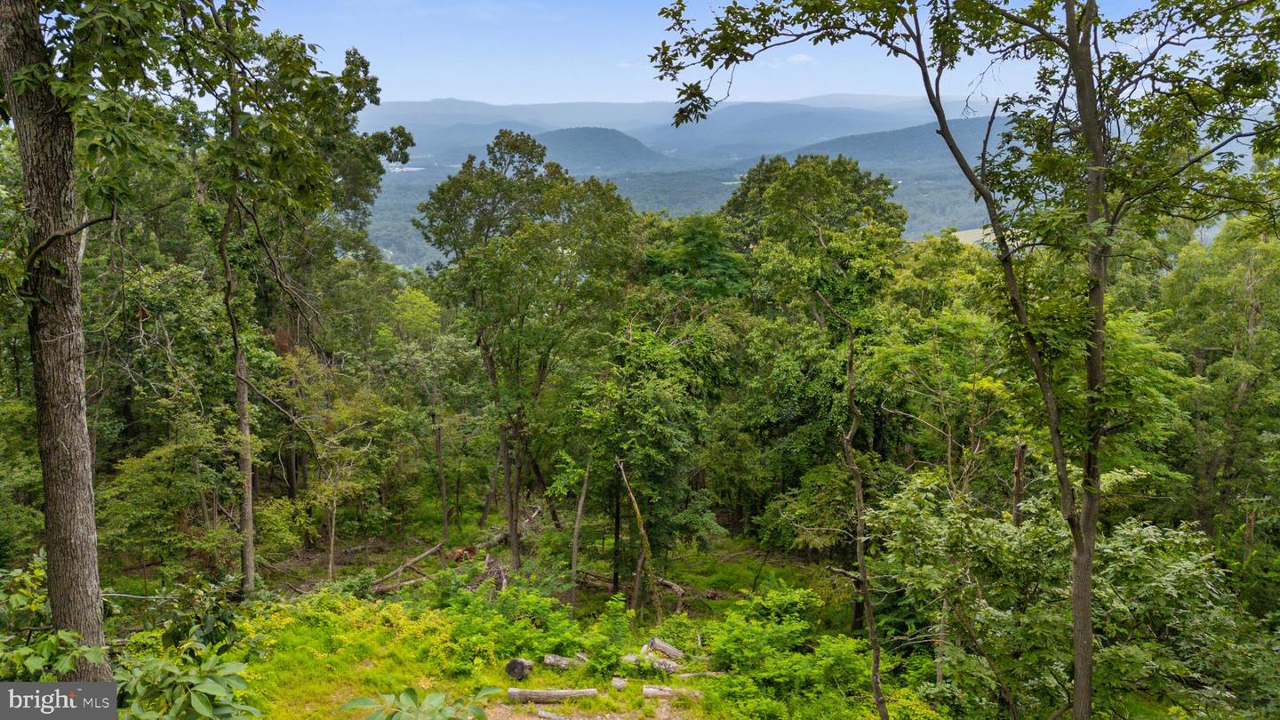 198 ACRES RUNIONS CREEK, BROADWAY, Virginia 22815, ,Farm,For Sale,198 ACRES RUNIONS CREEK,VARO2002504 MLS # VARO2002504