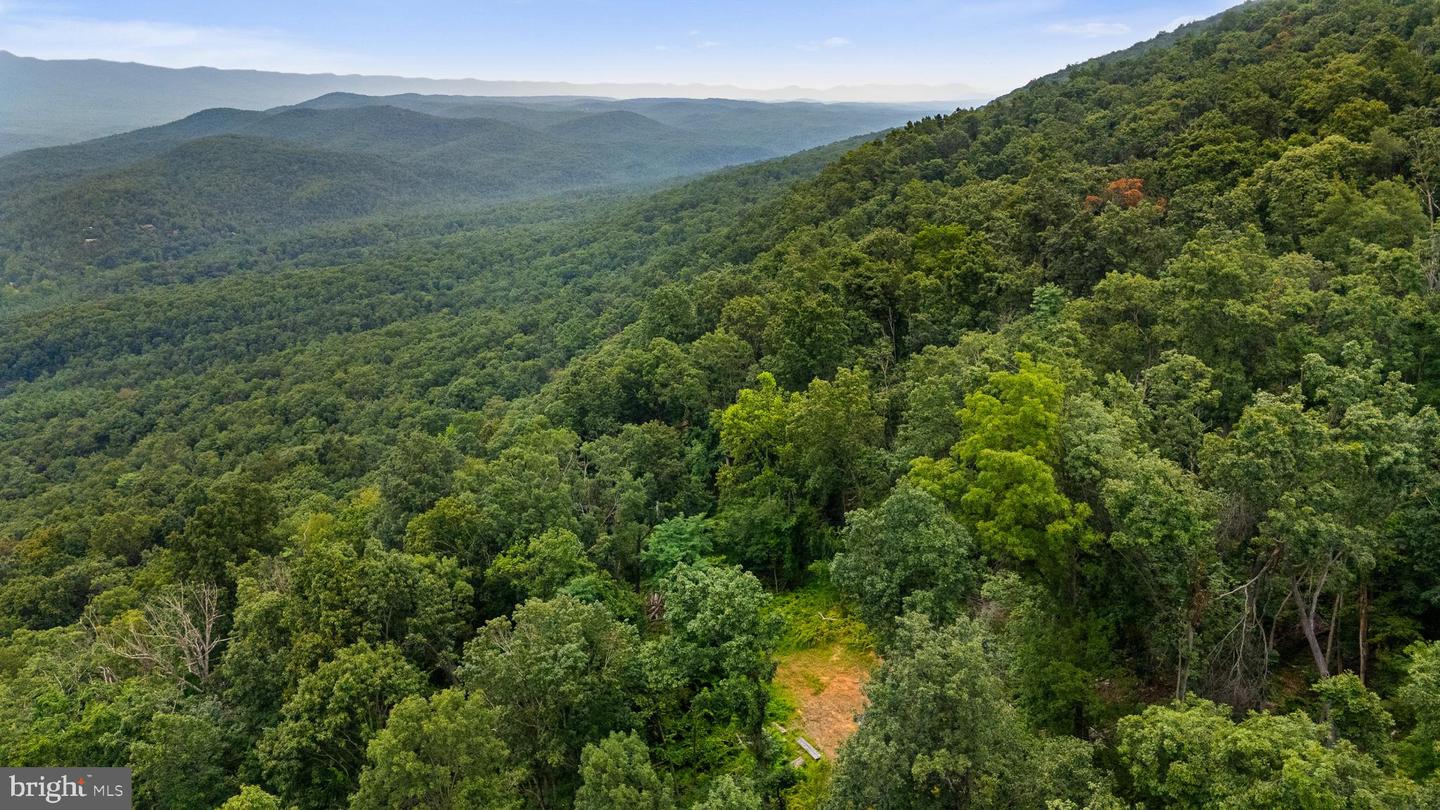 198 ACRES RUNIONS CREEK, BROADWAY, Virginia 22815, ,Farm,For Sale,198 ACRES RUNIONS CREEK,VARO2002504 MLS # VARO2002504