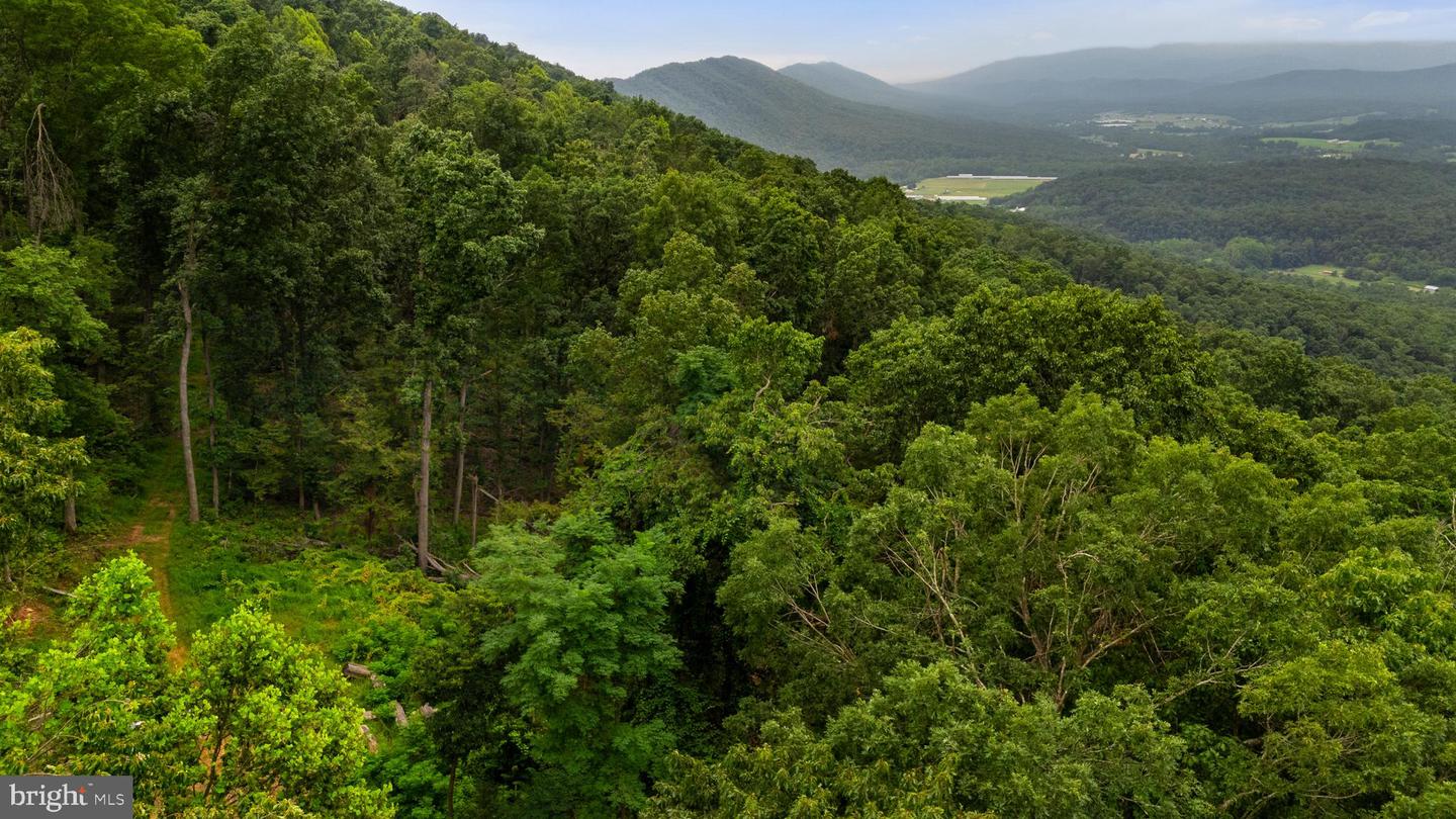 198 ACRES RUNIONS CREEK, BROADWAY, Virginia 22815, ,Farm,For Sale,198 ACRES RUNIONS CREEK,VARO2002504 MLS # VARO2002504