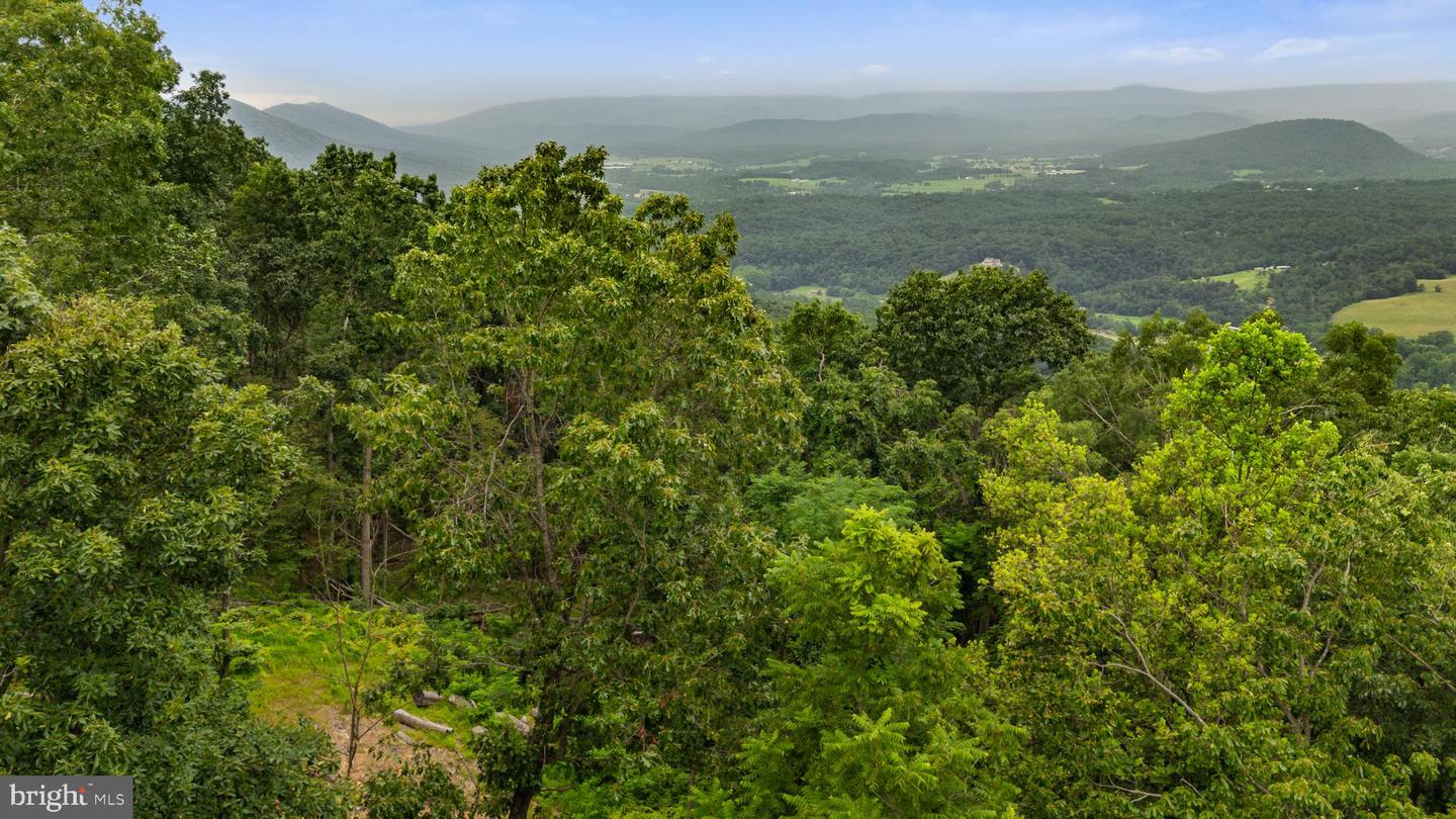 198 ACRES RUNIONS CREEK, BROADWAY, Virginia 22815, ,Farm,For Sale,198 ACRES RUNIONS CREEK,VARO2002504 MLS # VARO2002504