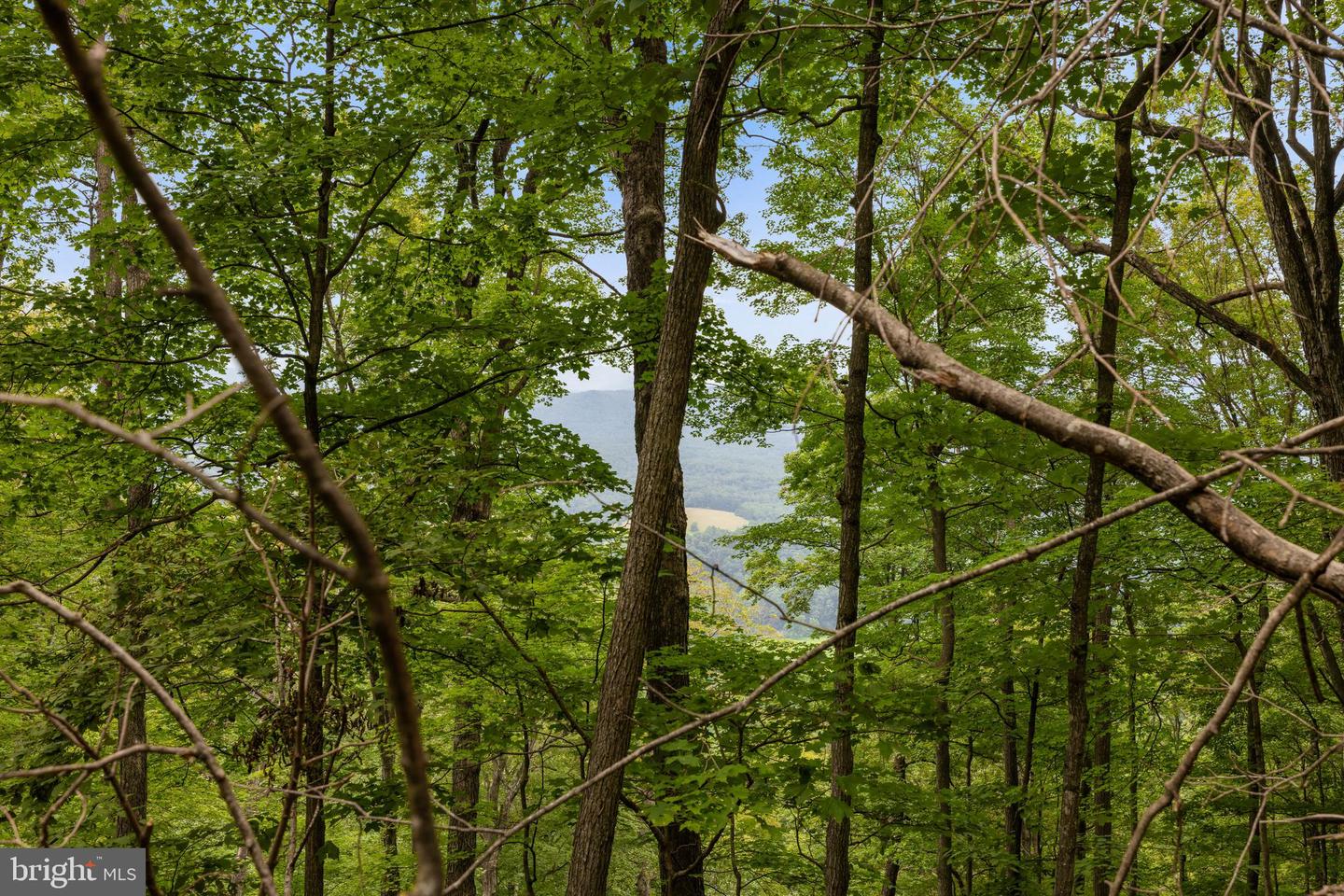 198 ACRES RUNIONS CREEK, BROADWAY, Virginia 22815, ,Farm,For Sale,198 ACRES RUNIONS CREEK,VARO2002504 MLS # VARO2002504