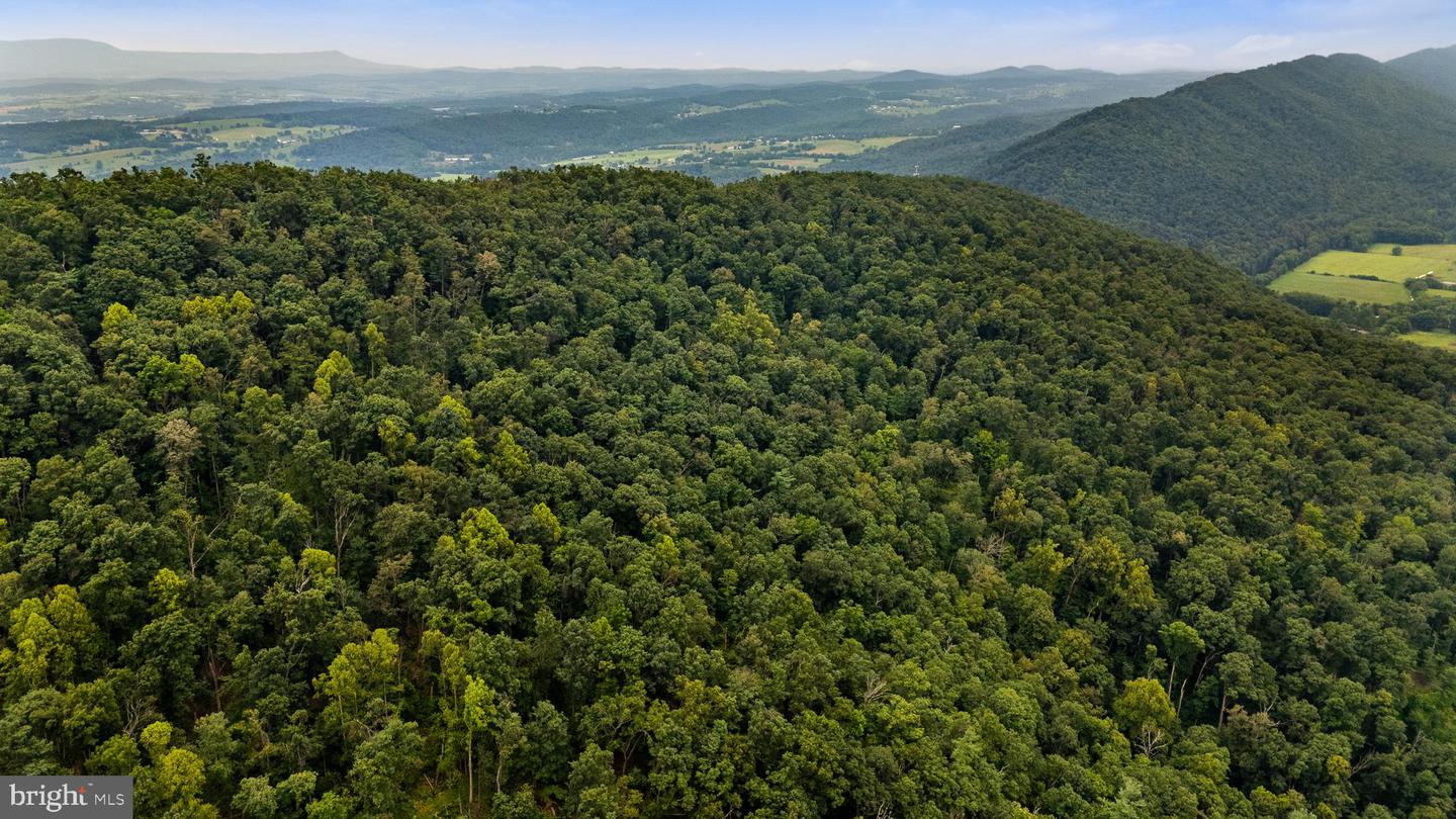 198 ACRES RUNIONS CREEK, BROADWAY, Virginia 22815, ,Farm,For Sale,198 ACRES RUNIONS CREEK,VARO2002504 MLS # VARO2002504