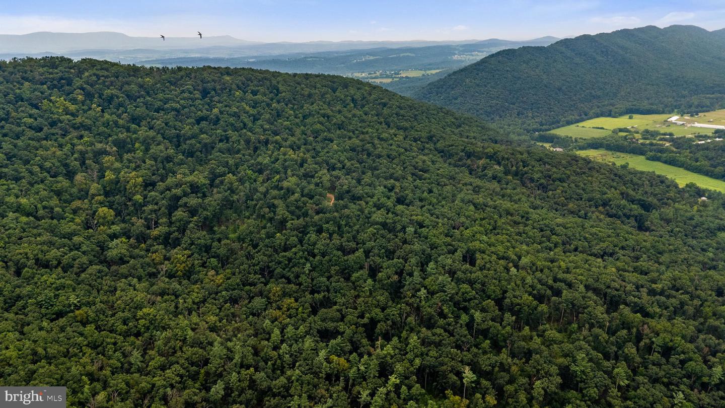 198 ACRES RUNIONS CREEK, BROADWAY, Virginia 22815, ,Farm,For Sale,198 ACRES RUNIONS CREEK,VARO2002504 MLS # VARO2002504