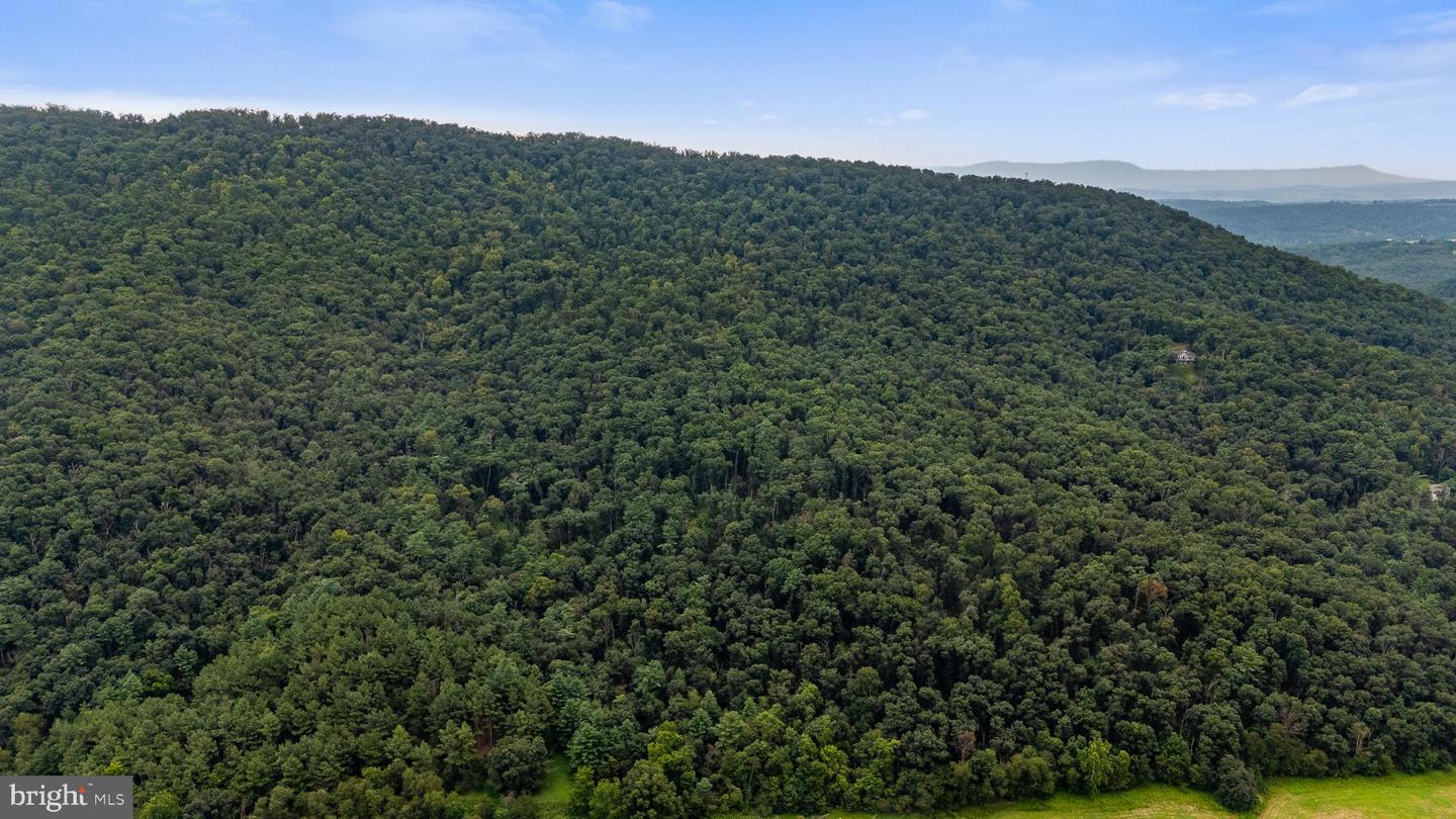 198 ACRES RUNIONS CREEK, BROADWAY, Virginia 22815, ,Farm,For Sale,198 ACRES RUNIONS CREEK,VARO2002504 MLS # VARO2002504