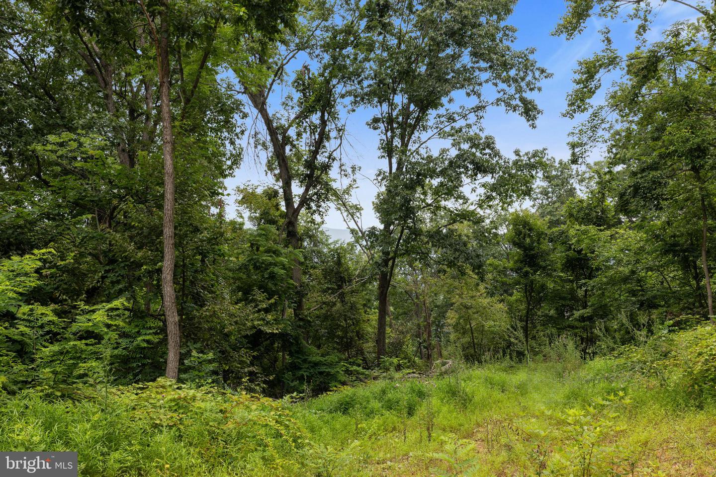 198 ACRES RUNIONS CREEK, BROADWAY, Virginia 22815, ,Farm,For Sale,198 ACRES RUNIONS CREEK,VARO2002504 MLS # VARO2002504