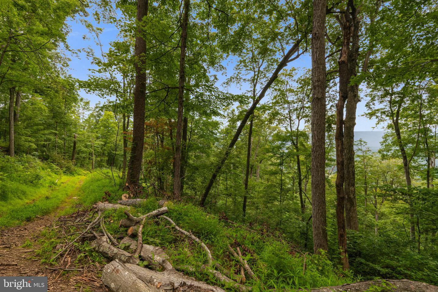 198 ACRES RUNIONS CREEK, BROADWAY, Virginia 22815, ,Farm,For Sale,198 ACRES RUNIONS CREEK,VARO2002504 MLS # VARO2002504