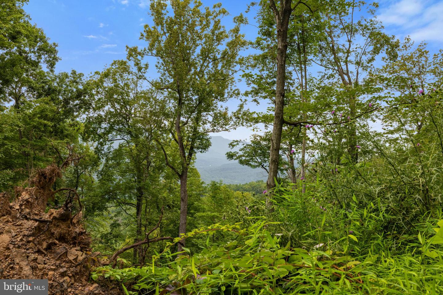 198 ACRES RUNIONS CREEK, BROADWAY, Virginia 22815, ,Farm,For Sale,198 ACRES RUNIONS CREEK,VARO2002504 MLS # VARO2002504