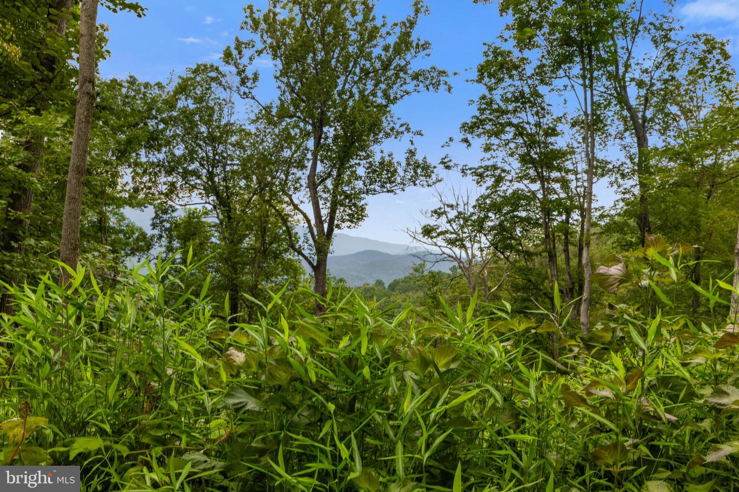 198 ACRES RUNIONS CREEK, BROADWAY, Virginia 22815, ,Farm,For Sale,198 ACRES RUNIONS CREEK,VARO2002504 MLS # VARO2002504