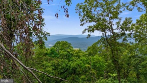 198 ACRES RUNIONS CREEK BROADWAY Virginia 22815