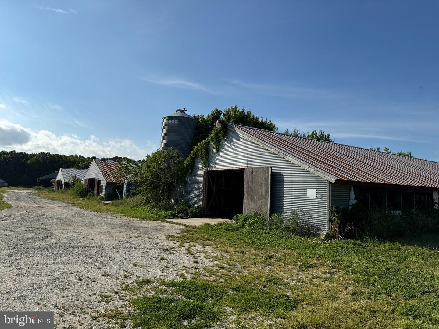 27227 SAVANNAH RD, HALLWOOD, Virginia 23359, 2 Bedrooms Bedrooms, ,2 BathroomsBathrooms,Farm,For Sale,27227 SAVANNAH RD,VAAC2002174 MLS # VAAC2002174 27227 SAVANNAH RD, HALLWOOD, Virginia 23359, 2 Bedrooms Bedrooms, ,2 BathroomsBathrooms,Farm,For Sale,27227 SAVANNAH RD,VAAC2002174 MLS # VAAC2002174