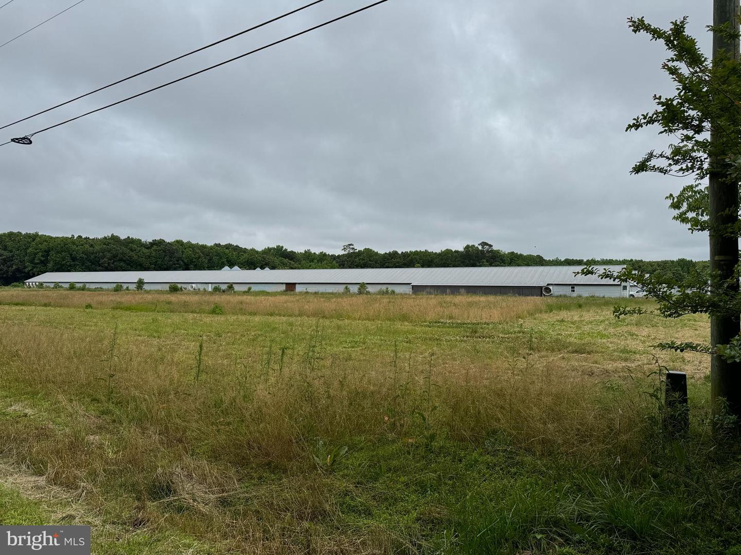 27227 SAVANNAH RD, HALLWOOD, Virginia 23359, 2 Bedrooms Bedrooms, ,2 BathroomsBathrooms,Farm,For Sale,27227 SAVANNAH RD,VAAC2002174 MLS # VAAC2002174 27227 SAVANNAH RD, HALLWOOD, Virginia 23359, 2 Bedrooms Bedrooms, ,2 BathroomsBathrooms,Farm,For Sale,27227 SAVANNAH RD,VAAC2002174 MLS # VAAC2002174