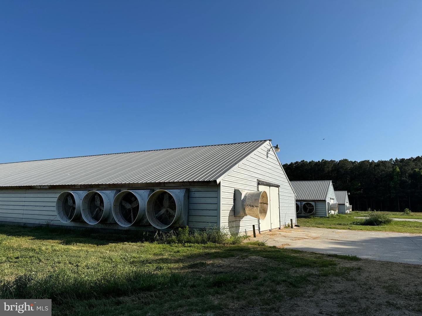 27227 SAVANNAH RD, HALLWOOD, Virginia 23359, 2 Bedrooms Bedrooms, ,2 BathroomsBathrooms,Farm,For Sale,27227 SAVANNAH RD,VAAC2002174 MLS # VAAC2002174 27227 SAVANNAH RD, HALLWOOD, Virginia 23359, 2 Bedrooms Bedrooms, ,2 BathroomsBathrooms,Farm,For Sale,27227 SAVANNAH RD,VAAC2002174 MLS # VAAC2002174