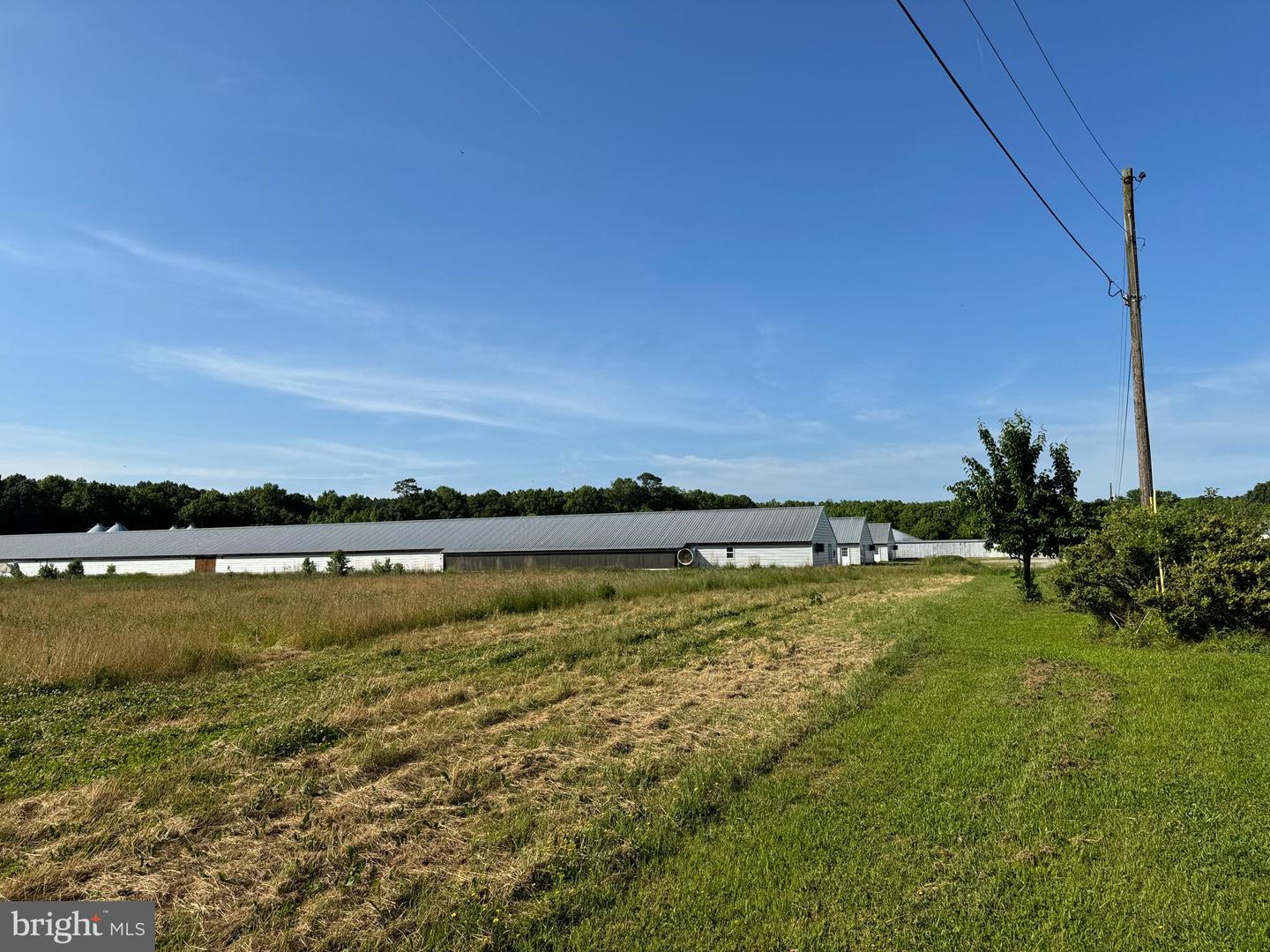 27227 SAVANNAH RD, HALLWOOD, Virginia 23359, 2 Bedrooms Bedrooms, ,2 BathroomsBathrooms,Farm,For Sale,27227 SAVANNAH RD,VAAC2002174 MLS # VAAC2002174 27227 SAVANNAH RD, HALLWOOD, Virginia 23359, 2 Bedrooms Bedrooms, ,2 BathroomsBathrooms,Farm,For Sale,27227 SAVANNAH RD,VAAC2002174 MLS # VAAC2002174