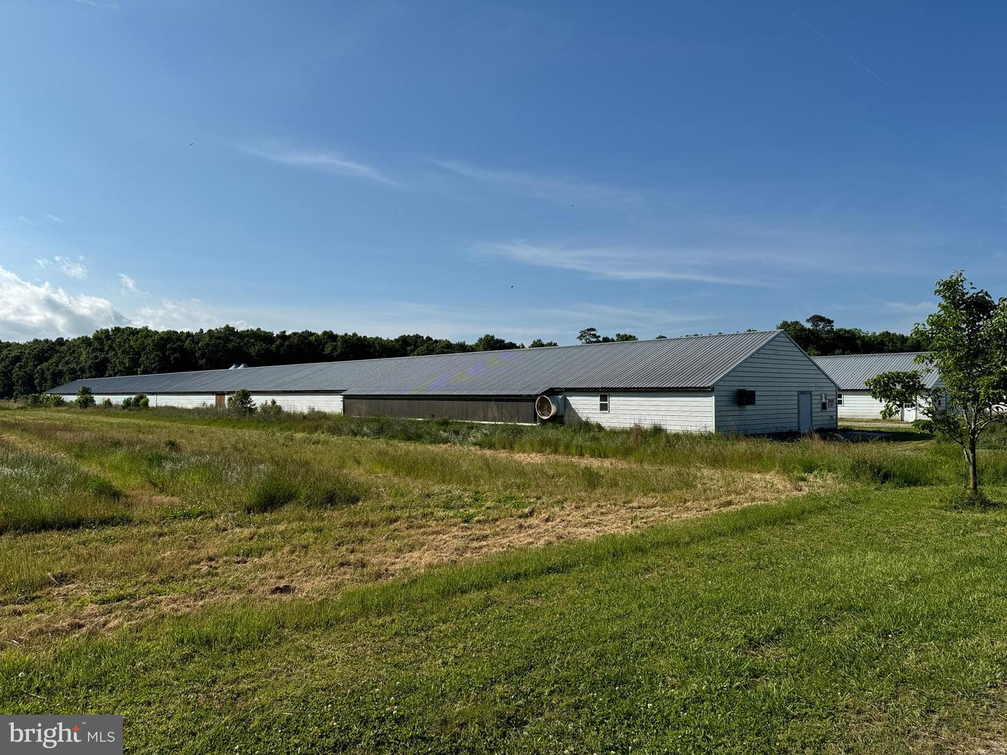 27227 SAVANNAH RD, HALLWOOD, Virginia 23359, 2 Bedrooms Bedrooms, ,2 BathroomsBathrooms,Farm,For Sale,27227 SAVANNAH RD,VAAC2002174 MLS # VAAC2002174 27227 SAVANNAH RD, HALLWOOD, Virginia 23359, 2 Bedrooms Bedrooms, ,2 BathroomsBathrooms,Farm,For Sale,27227 SAVANNAH RD,VAAC2002174 MLS # VAAC2002174