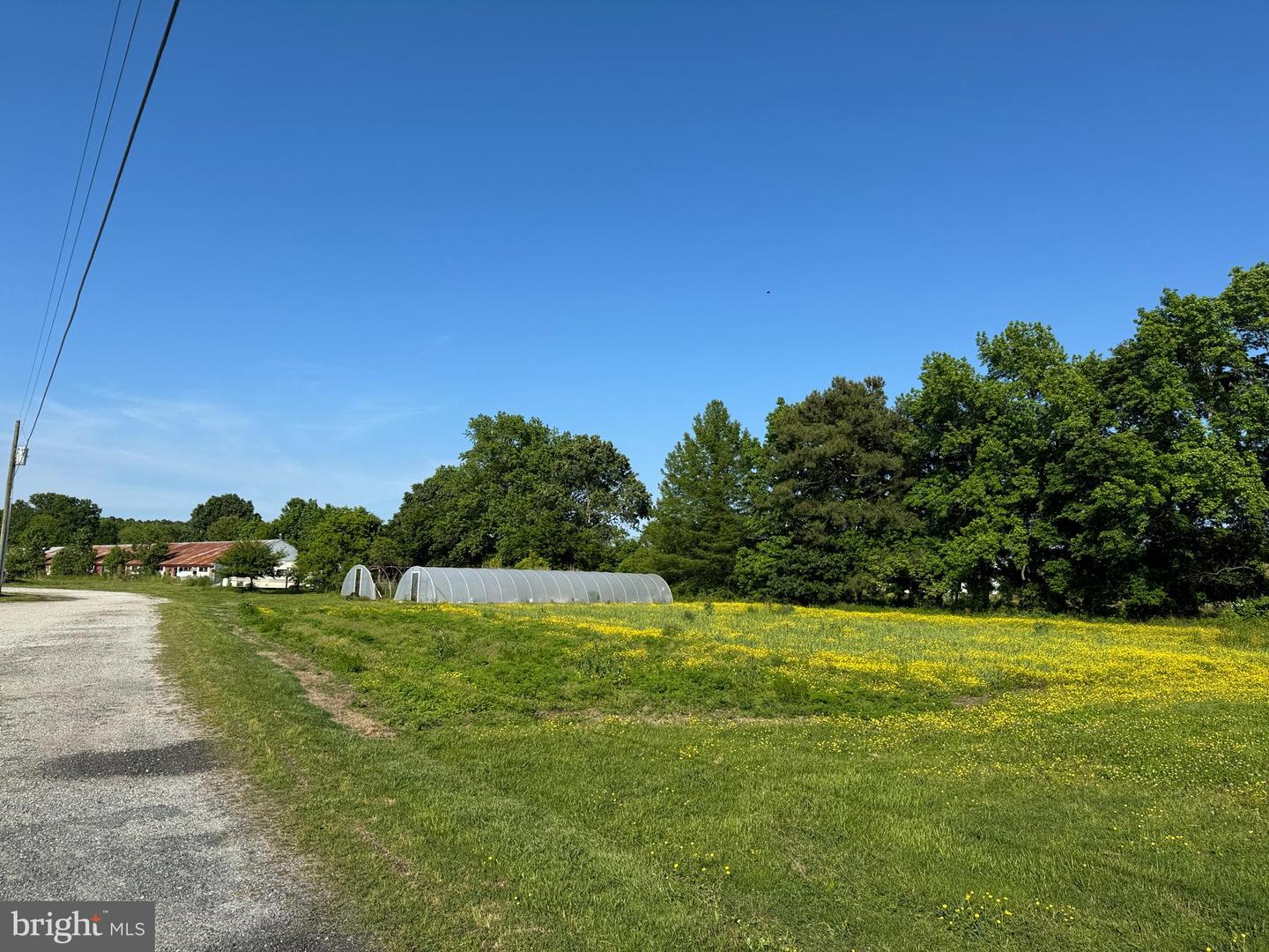 27227 SAVANNAH RD, HALLWOOD, Virginia 23359, 2 Bedrooms Bedrooms, ,2 BathroomsBathrooms,Farm,For Sale,27227 SAVANNAH RD,VAAC2002174 MLS # VAAC2002174 27227 SAVANNAH RD, HALLWOOD, Virginia 23359, 2 Bedrooms Bedrooms, ,2 BathroomsBathrooms,Farm,For Sale,27227 SAVANNAH RD,VAAC2002174 MLS # VAAC2002174