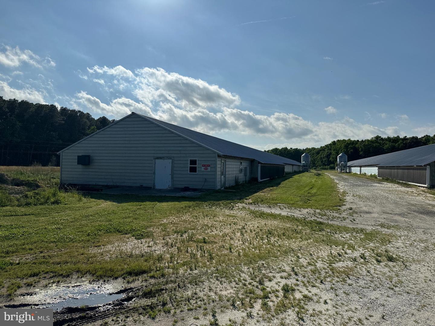 27227 SAVANNAH RD, HALLWOOD, Virginia 23359, 2 Bedrooms Bedrooms, ,2 BathroomsBathrooms,Farm,For Sale,27227 SAVANNAH RD,VAAC2002174 MLS # VAAC2002174 27227 SAVANNAH RD, HALLWOOD, Virginia 23359, 2 Bedrooms Bedrooms, ,2 BathroomsBathrooms,Farm,For Sale,27227 SAVANNAH RD,VAAC2002174 MLS # VAAC2002174