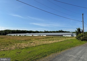 27227 SAVANNAH RD, HALLWOOD, Virginia 23359, 2 Bedrooms Bedrooms, ,2 BathroomsBathrooms,Farm,For Sale,27227 SAVANNAH RD,VAAC2002174 MLS # VAAC2002174 27227 SAVANNAH RD, HALLWOOD, Virginia 23359, 2 Bedrooms Bedrooms, ,2 BathroomsBathrooms,Farm,For Sale,27227 SAVANNAH RD,VAAC2002174 MLS # VAAC2002174