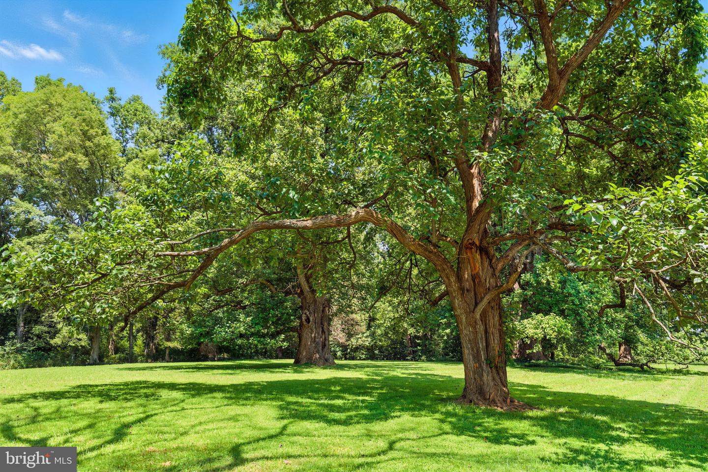 23348 TIDEWATER TRL, RAPPAHANNOCK ACADEMY, Virginia 22538, 4 Bedrooms Bedrooms, ,4 BathroomsBathrooms,Residential,For Sale,23348 TIDEWATER TRL,VACV2008326 MLS # VACV2008326 23348 TIDEWATER TRL, RAPPAHANNOCK ACADEMY, Virginia 22538, 4 Bedrooms Bedrooms, ,4 BathroomsBathrooms,Residential,For Sale,23348 TIDEWATER TRL,VACV2008326 MLS # VACV2008326