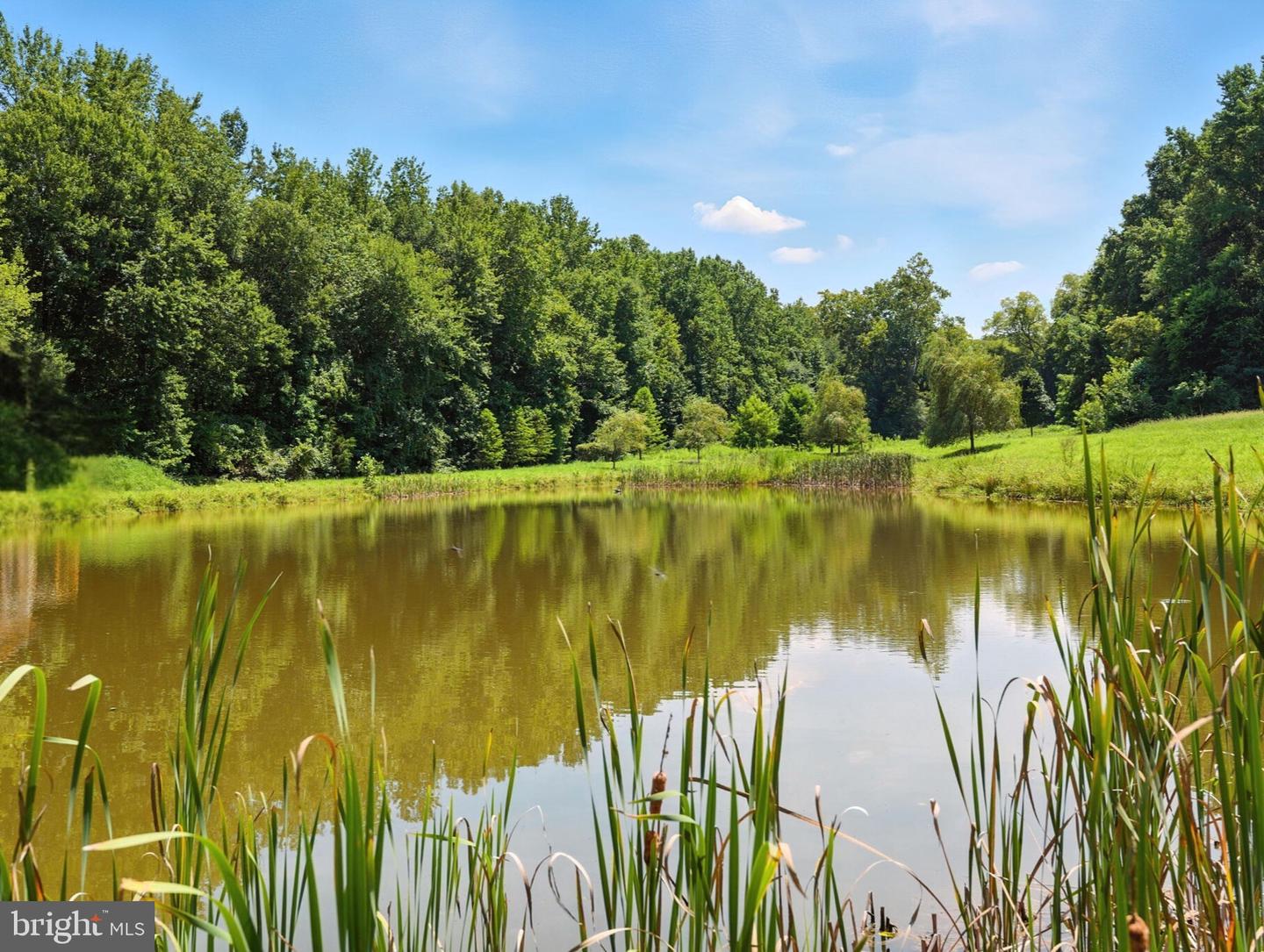 23348 TIDEWATER TRL, RAPPAHANNOCK ACADEMY, Virginia 22538, 4 Bedrooms Bedrooms, ,4 BathroomsBathrooms,Residential,For Sale,23348 TIDEWATER TRL,VACV2008326 MLS # VACV2008326 23348 TIDEWATER TRL, RAPPAHANNOCK ACADEMY, Virginia 22538, 4 Bedrooms Bedrooms, ,4 BathroomsBathrooms,Residential,For Sale,23348 TIDEWATER TRL,VACV2008326 MLS # VACV2008326