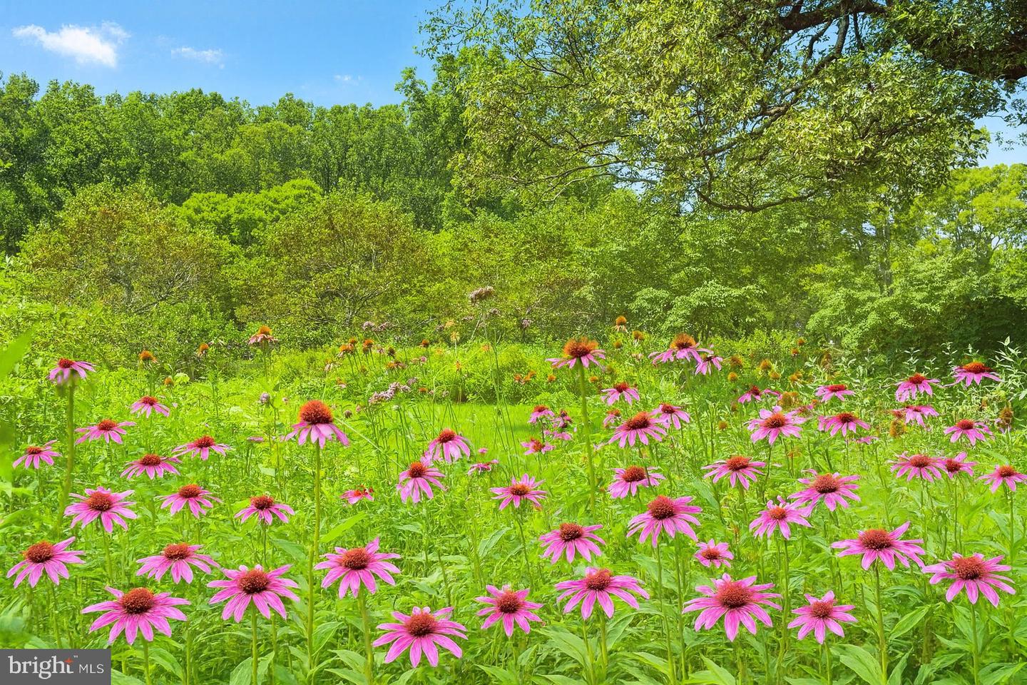 23348 TIDEWATER TRL, RAPPAHANNOCK ACADEMY, Virginia 22538, 4 Bedrooms Bedrooms, ,4 BathroomsBathrooms,Residential,For Sale,23348 TIDEWATER TRL,VACV2008326 MLS # VACV2008326 23348 TIDEWATER TRL, RAPPAHANNOCK ACADEMY, Virginia 22538, 4 Bedrooms Bedrooms, ,4 BathroomsBathrooms,Residential,For Sale,23348 TIDEWATER TRL,VACV2008326 MLS # VACV2008326