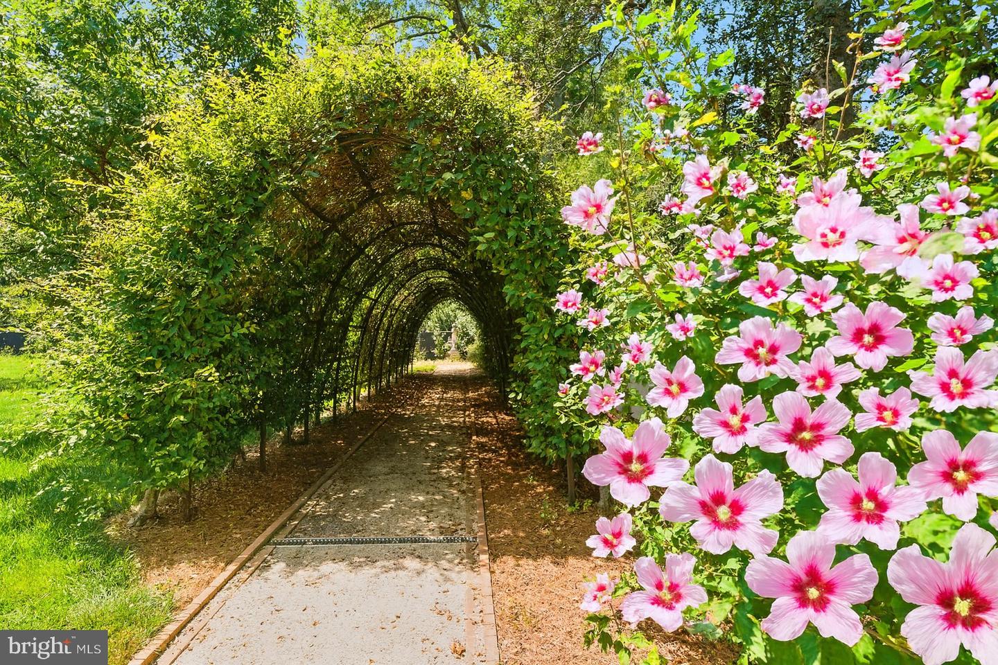 23348 TIDEWATER TRL, RAPPAHANNOCK ACADEMY, Virginia 22538, 4 Bedrooms Bedrooms, ,4 BathroomsBathrooms,Residential,For Sale,23348 TIDEWATER TRL,VACV2008326 MLS # VACV2008326 23348 TIDEWATER TRL, RAPPAHANNOCK ACADEMY, Virginia 22538, 4 Bedrooms Bedrooms, ,4 BathroomsBathrooms,Residential,For Sale,23348 TIDEWATER TRL,VACV2008326 MLS # VACV2008326