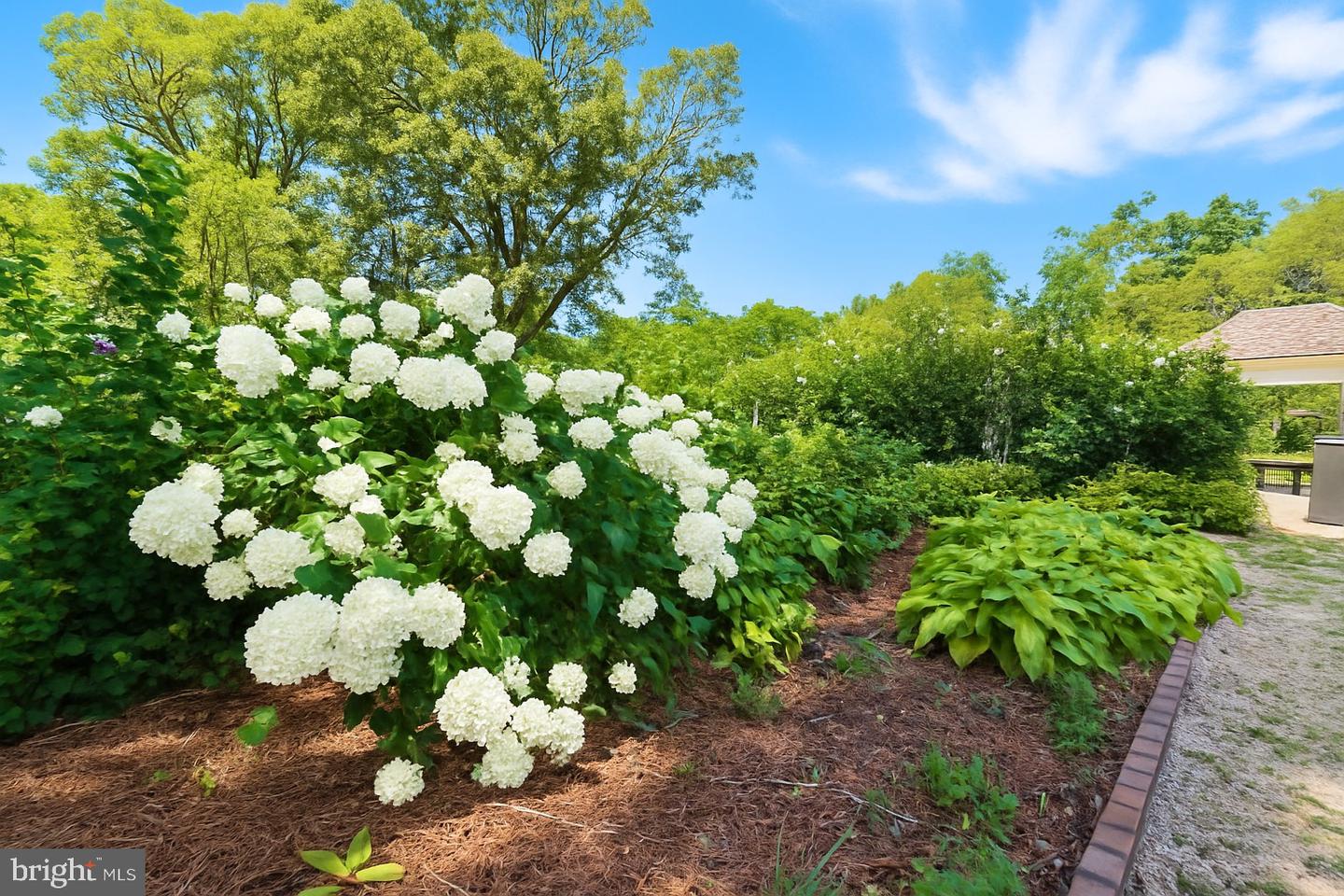 23348 TIDEWATER TRL, RAPPAHANNOCK ACADEMY, Virginia 22538, 4 Bedrooms Bedrooms, ,4 BathroomsBathrooms,Residential,For Sale,23348 TIDEWATER TRL,VACV2008326 MLS # VACV2008326 23348 TIDEWATER TRL, RAPPAHANNOCK ACADEMY, Virginia 22538, 4 Bedrooms Bedrooms, ,4 BathroomsBathrooms,Residential,For Sale,23348 TIDEWATER TRL,VACV2008326 MLS # VACV2008326