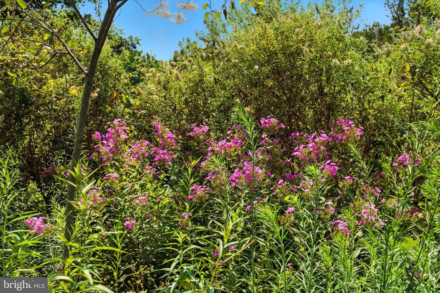 23348 TIDEWATER TRL, RAPPAHANNOCK ACADEMY, Virginia 22538, 4 Bedrooms Bedrooms, ,4 BathroomsBathrooms,Residential,For Sale,23348 TIDEWATER TRL,VACV2008326 MLS # VACV2008326 23348 TIDEWATER TRL, RAPPAHANNOCK ACADEMY, Virginia 22538, 4 Bedrooms Bedrooms, ,4 BathroomsBathrooms,Residential,For Sale,23348 TIDEWATER TRL,VACV2008326 MLS # VACV2008326