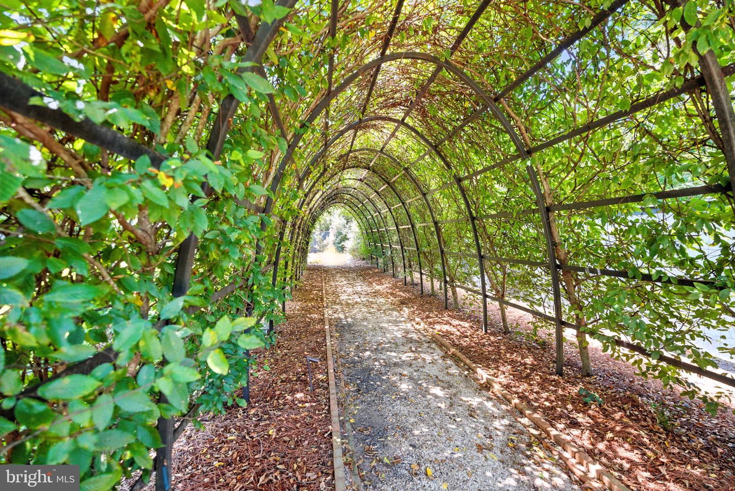 23348 TIDEWATER TRL, RAPPAHANNOCK ACADEMY, Virginia 22538, 4 Bedrooms Bedrooms, ,4 BathroomsBathrooms,Residential,For Sale,23348 TIDEWATER TRL,VACV2008326 MLS # VACV2008326 23348 TIDEWATER TRL, RAPPAHANNOCK ACADEMY, Virginia 22538, 4 Bedrooms Bedrooms, ,4 BathroomsBathrooms,Residential,For Sale,23348 TIDEWATER TRL,VACV2008326 MLS # VACV2008326