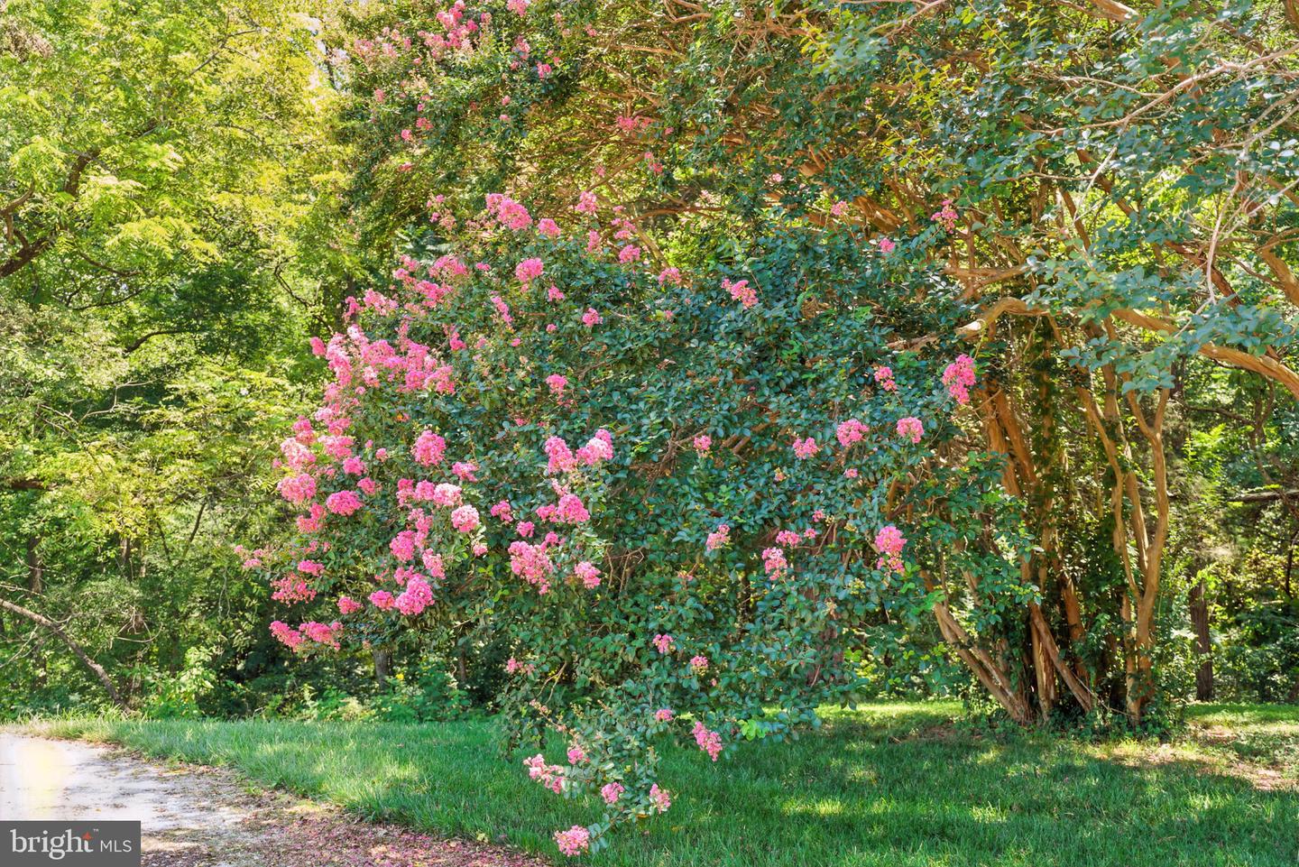 23348 TIDEWATER TRL, RAPPAHANNOCK ACADEMY, Virginia 22538, 4 Bedrooms Bedrooms, ,4 BathroomsBathrooms,Residential,For Sale,23348 TIDEWATER TRL,VACV2008326 MLS # VACV2008326 23348 TIDEWATER TRL, RAPPAHANNOCK ACADEMY, Virginia 22538, 4 Bedrooms Bedrooms, ,4 BathroomsBathrooms,Residential,For Sale,23348 TIDEWATER TRL,VACV2008326 MLS # VACV2008326