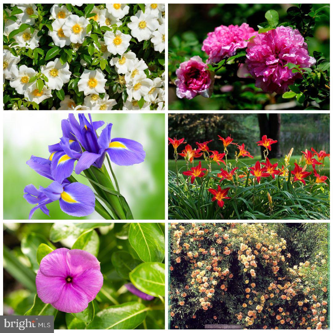 23348 TIDEWATER TRL, RAPPAHANNOCK ACADEMY, Virginia 22538, 4 Bedrooms Bedrooms, ,4 BathroomsBathrooms,Residential,For Sale,23348 TIDEWATER TRL,VACV2008326 MLS # VACV2008326 23348 TIDEWATER TRL, RAPPAHANNOCK ACADEMY, Virginia 22538, 4 Bedrooms Bedrooms, ,4 BathroomsBathrooms,Residential,For Sale,23348 TIDEWATER TRL,VACV2008326 MLS # VACV2008326