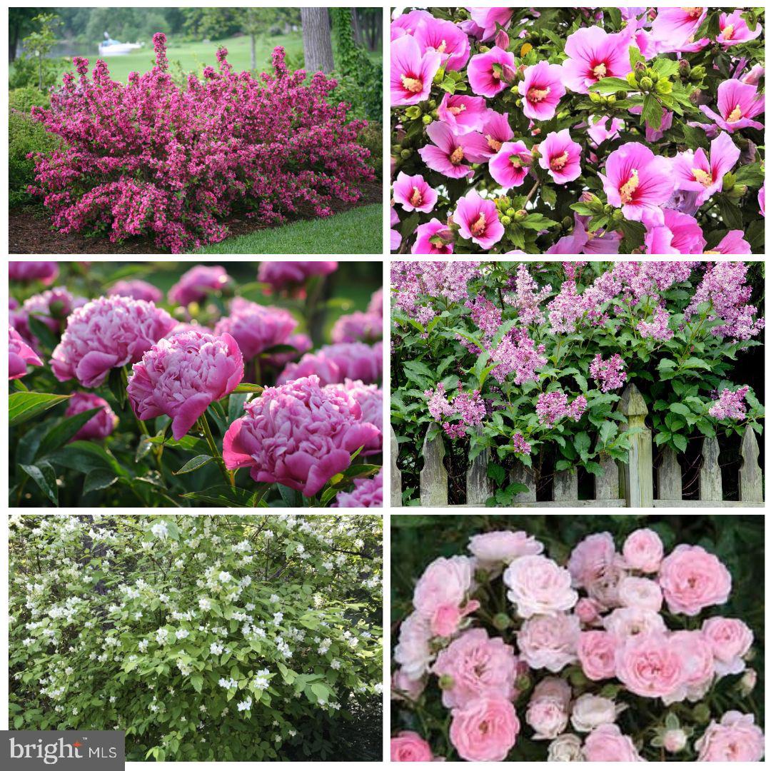 23348 TIDEWATER TRL, RAPPAHANNOCK ACADEMY, Virginia 22538, 4 Bedrooms Bedrooms, ,4 BathroomsBathrooms,Residential,For Sale,23348 TIDEWATER TRL,VACV2008326 MLS # VACV2008326 23348 TIDEWATER TRL, RAPPAHANNOCK ACADEMY, Virginia 22538, 4 Bedrooms Bedrooms, ,4 BathroomsBathrooms,Residential,For Sale,23348 TIDEWATER TRL,VACV2008326 MLS # VACV2008326