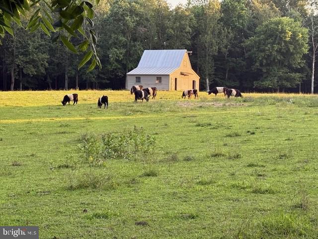 23348 TIDEWATER TRL, RAPPAHANNOCK ACADEMY, Virginia 22538, 4 Bedrooms Bedrooms, ,4 BathroomsBathrooms,Residential,For Sale,23348 TIDEWATER TRL,VACV2008326 MLS # VACV2008326 23348 TIDEWATER TRL, RAPPAHANNOCK ACADEMY, Virginia 22538, 4 Bedrooms Bedrooms, ,4 BathroomsBathrooms,Residential,For Sale,23348 TIDEWATER TRL,VACV2008326 MLS # VACV2008326