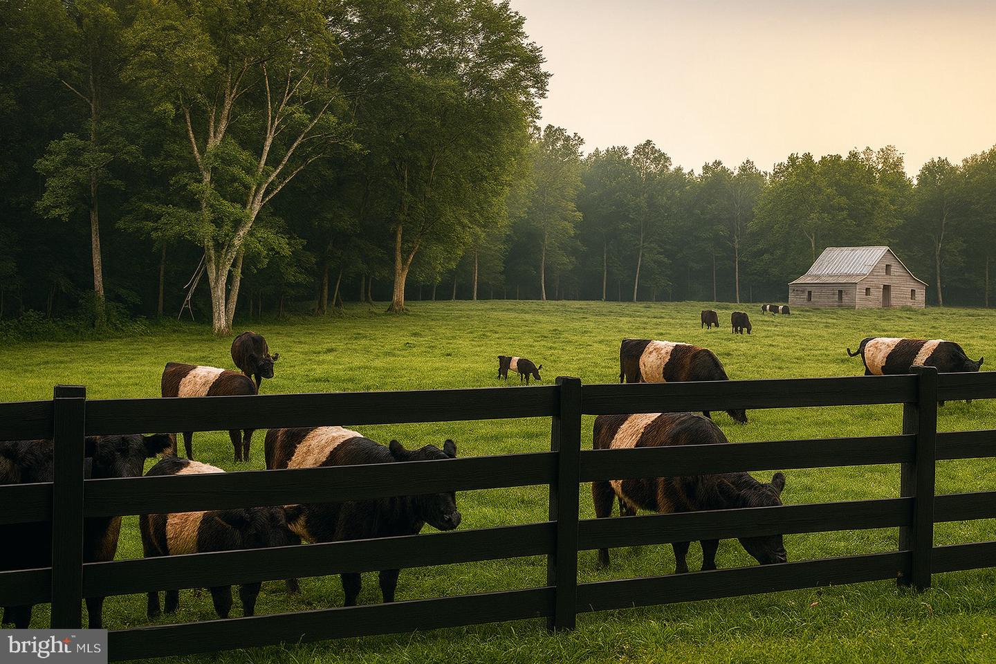 23348 TIDEWATER TRL, RAPPAHANNOCK ACADEMY, Virginia 22538, 4 Bedrooms Bedrooms, ,4 BathroomsBathrooms,Residential,For Sale,23348 TIDEWATER TRL,VACV2008326 MLS # VACV2008326 23348 TIDEWATER TRL, RAPPAHANNOCK ACADEMY, Virginia 22538, 4 Bedrooms Bedrooms, ,4 BathroomsBathrooms,Residential,For Sale,23348 TIDEWATER TRL,VACV2008326 MLS # VACV2008326