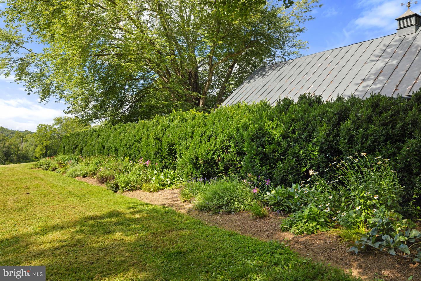 3418 HALFWAY RD, THE PLAINS, Virginia 20198, 5 Bedrooms Bedrooms, ,4 BathroomsBathrooms,Residential,For Sale,3418 HALFWAY RD,VAFQ2017424 MLS # VAFQ2017424 3418 HALFWAY RD, THE PLAINS, Virginia 20198, 5 Bedrooms Bedrooms, ,4 BathroomsBathrooms,Residential,For Sale,3418 HALFWAY RD,VAFQ2017424 MLS # VAFQ2017424