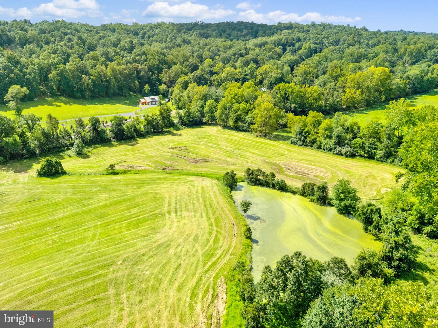 3418 HALFWAY RD, THE PLAINS, Virginia 20198, 5 Bedrooms Bedrooms, ,4 BathroomsBathrooms,Residential,For Sale,3418 HALFWAY RD,VAFQ2017424 MLS # VAFQ2017424 3418 HALFWAY RD, THE PLAINS, Virginia 20198, 5 Bedrooms Bedrooms, ,4 BathroomsBathrooms,Residential,For Sale,3418 HALFWAY RD,VAFQ2017424 MLS # VAFQ2017424