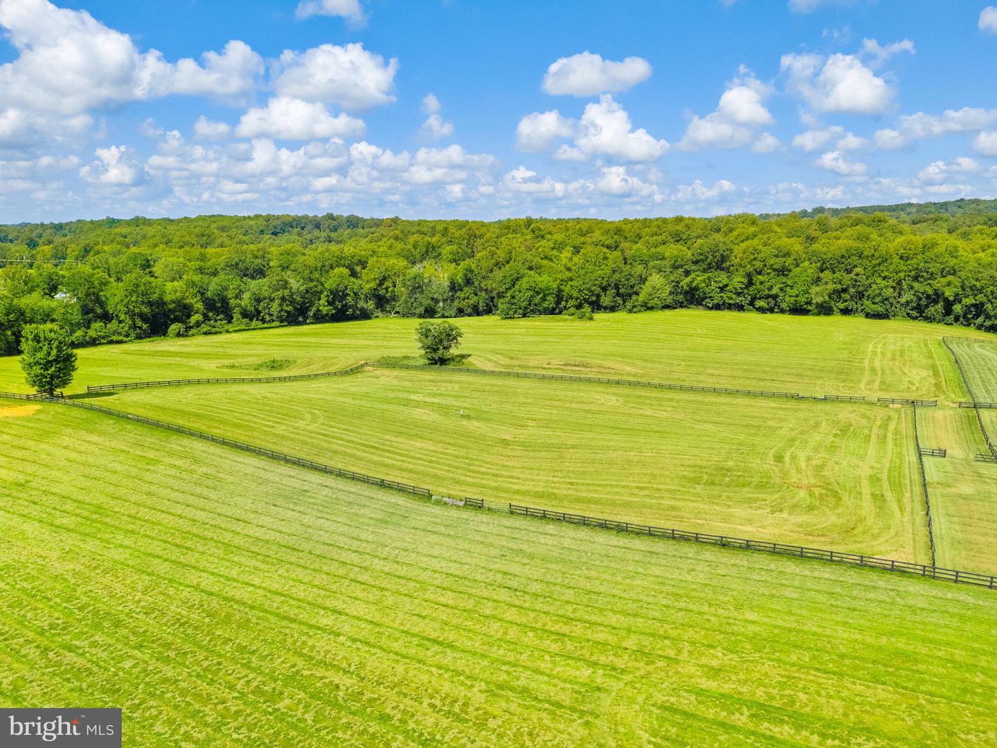 3418 HALFWAY RD, THE PLAINS, Virginia 20198, 5 Bedrooms Bedrooms, ,4 BathroomsBathrooms,Residential,For Sale,3418 HALFWAY RD,VAFQ2017424 MLS # VAFQ2017424 3418 HALFWAY RD, THE PLAINS, Virginia 20198, 5 Bedrooms Bedrooms, ,4 BathroomsBathrooms,Residential,For Sale,3418 HALFWAY RD,VAFQ2017424 MLS # VAFQ2017424