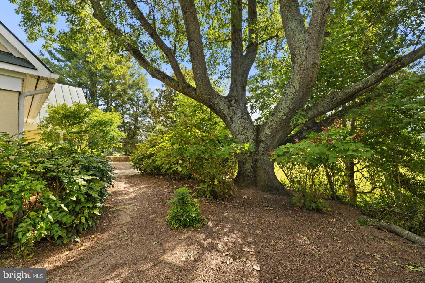 3418 HALFWAY RD, THE PLAINS, Virginia 20198, 5 Bedrooms Bedrooms, ,4 BathroomsBathrooms,Residential,For Sale,3418 HALFWAY RD,VAFQ2017424 MLS # VAFQ2017424 3418 HALFWAY RD, THE PLAINS, Virginia 20198, 5 Bedrooms Bedrooms, ,4 BathroomsBathrooms,Residential,For Sale,3418 HALFWAY RD,VAFQ2017424 MLS # VAFQ2017424