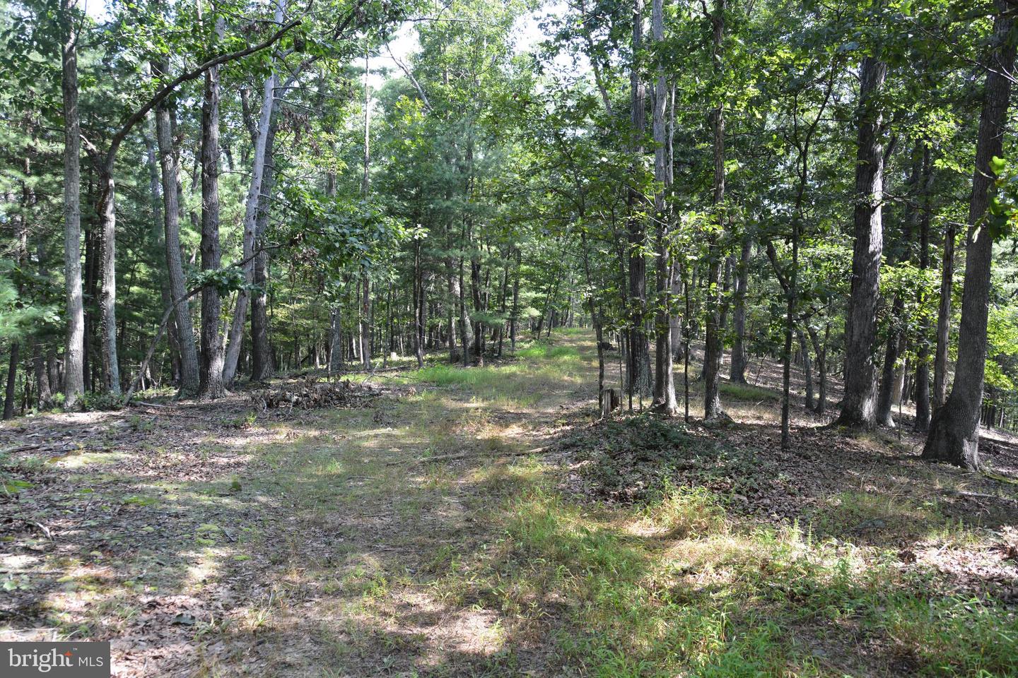 BRUSH CREEK RD #30+ ACRES, CROSS JUNCTION, Virginia 22625, ,Land,For Sale,BRUSH CREEK RD #30+ ACRES,VAFV2036252 MLS # VAFV2036252