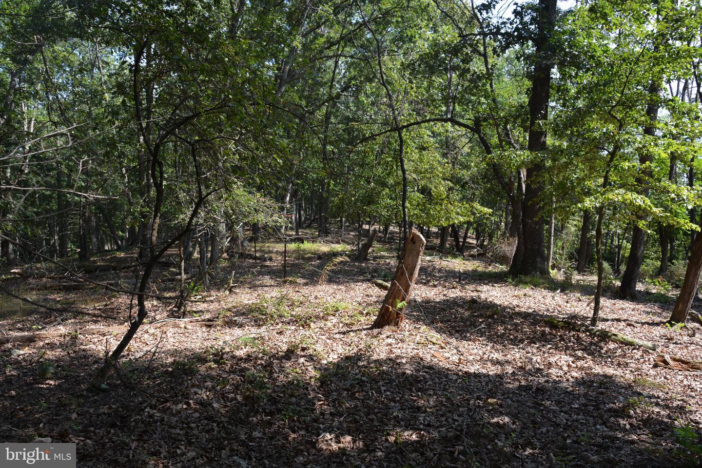 BRUSH CREEK RD #30+ ACRES, CROSS JUNCTION, Virginia 22625, ,Land,For Sale,BRUSH CREEK RD #30+ ACRES,VAFV2036252 MLS # VAFV2036252