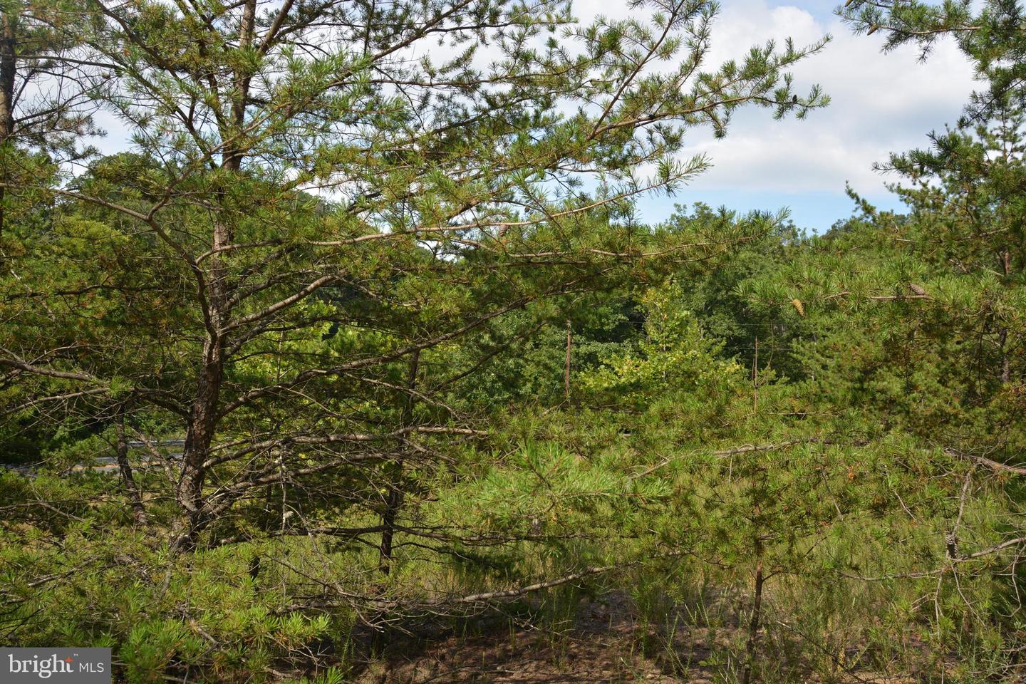 BRUSH CREEK RD #30+ ACRES, CROSS JUNCTION, Virginia 22625, ,Land,For Sale,BRUSH CREEK RD #30+ ACRES,VAFV2036252 MLS # VAFV2036252