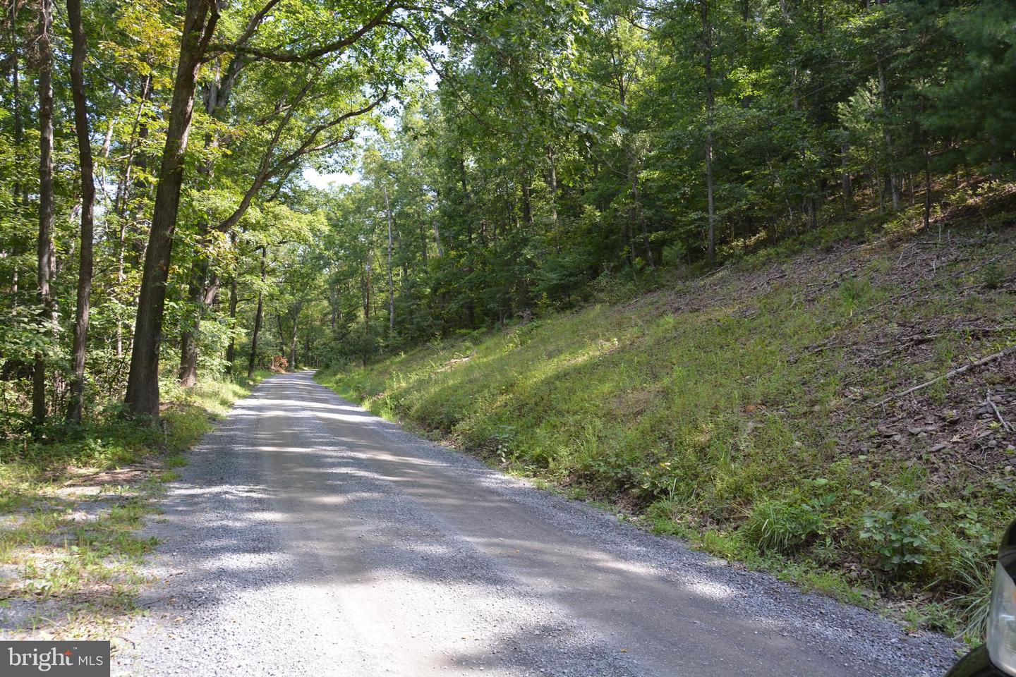 BRUSH CREEK RD #30+ ACRES, CROSS JUNCTION, Virginia 22625, ,Land,For Sale,BRUSH CREEK RD #30+ ACRES,VAFV2036252 MLS # VAFV2036252