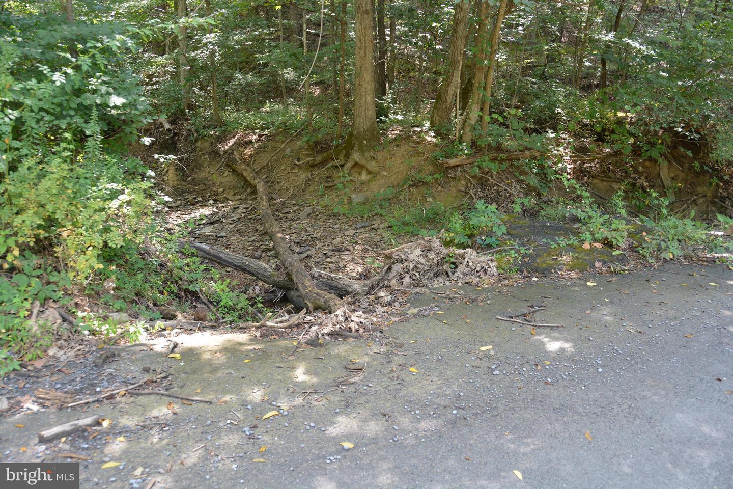 BRUSH CREEK RD #30+ ACRES, CROSS JUNCTION, Virginia 22625, ,Land,For Sale,BRUSH CREEK RD #30+ ACRES,VAFV2036252 MLS # VAFV2036252